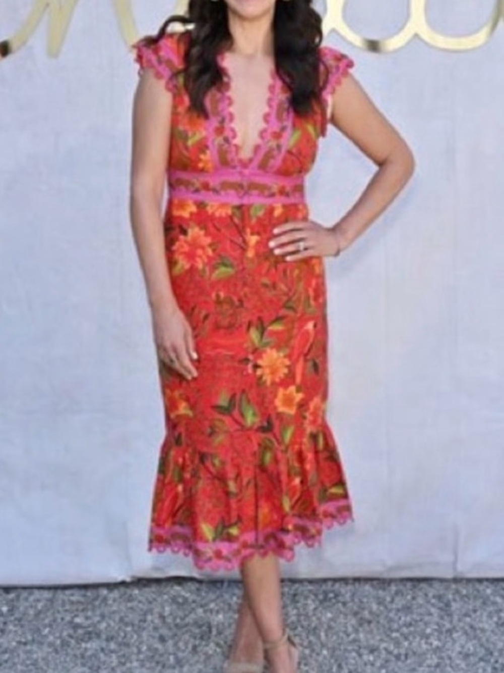 NWT FARM Rio Solar Forest Button Down Dress Red / Pink / Green Jungle Animal M - Picture 4 of 4